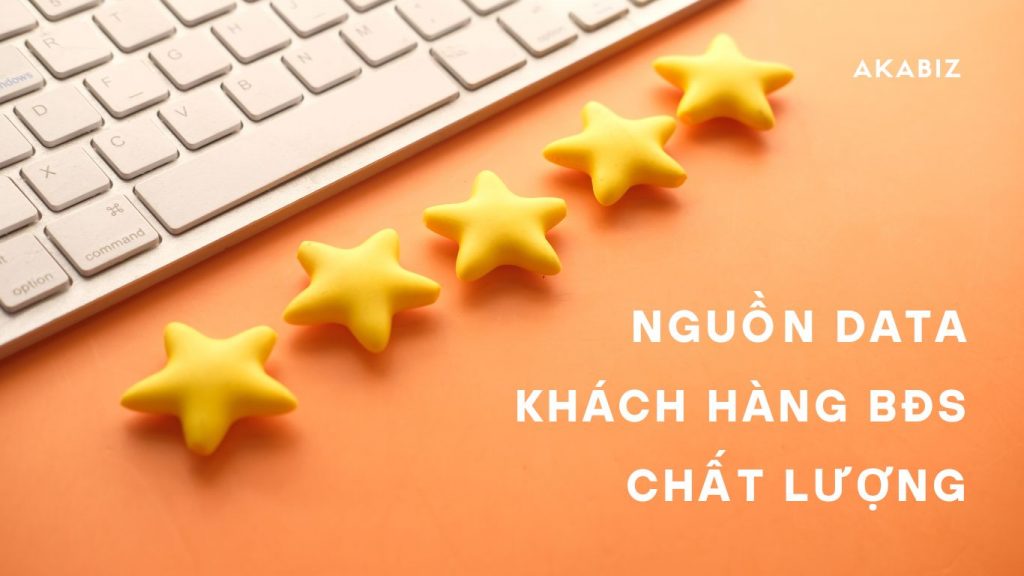 data khách hàng bđs